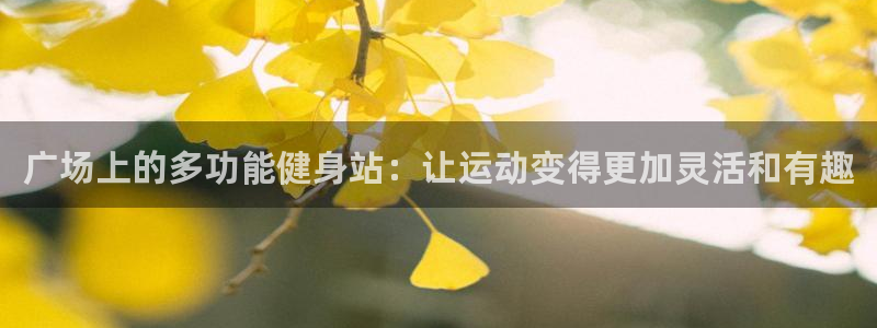 fb体育平台注册流程视频：广场上的多功能健身站：让运