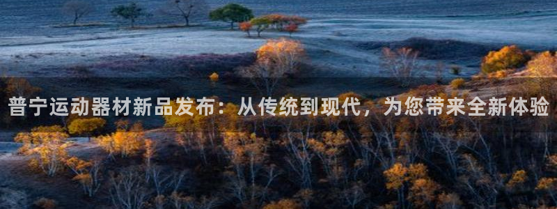 fb体育平台注册流程图：普宁运动器材新品发布：从传统