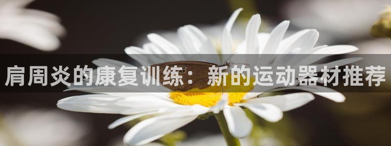 fb体育：肩周炎的康复训练：新的运动器材推荐