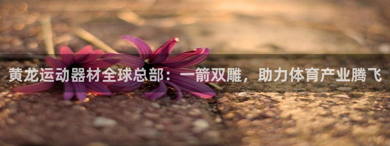 德国fb体育集团：黄龙运动器材全球总部：一箭双雕，助