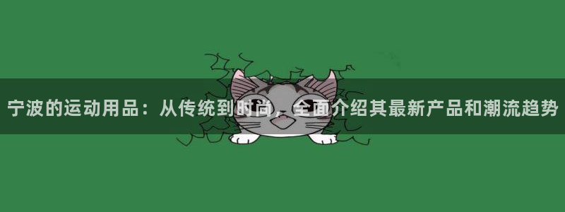 fb体育联系电话：宁波的运动用品：从传统到时尚，全面