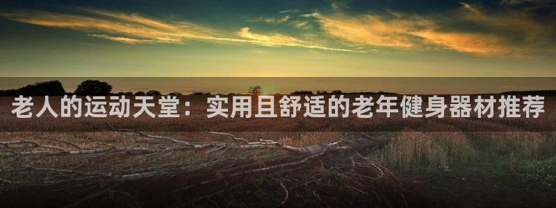 fb体育娱乐平台：老人的运动天堂：实用且舒适的老年健身器材推