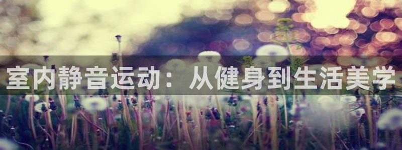 fb体育招商电话是多少啊：室内静音运动：从健身到生活美学